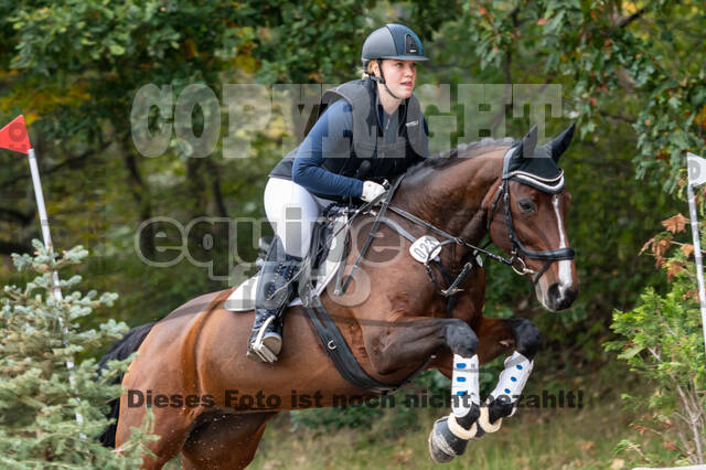 Goldene Schärpe 2020 - Pferde