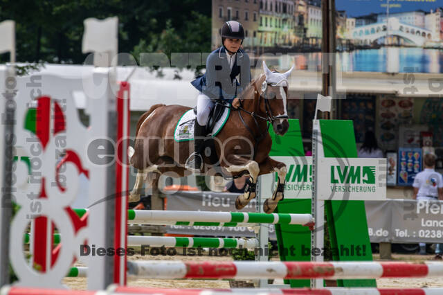 Goldene Schärpe 2021 - Ponys