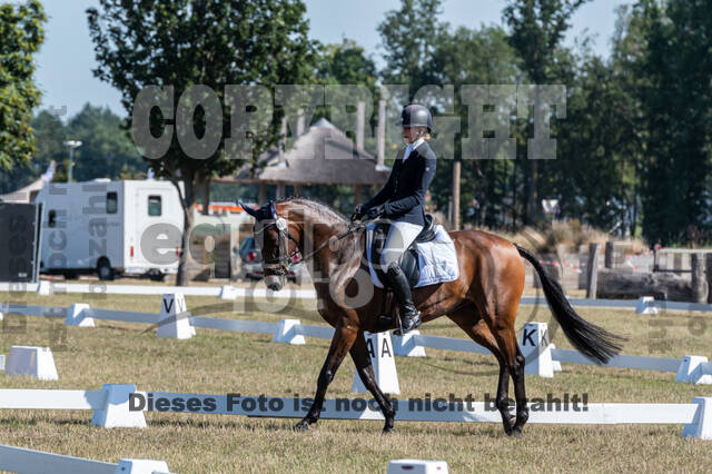 Kronenberg - De Peelbergen (August 2020)