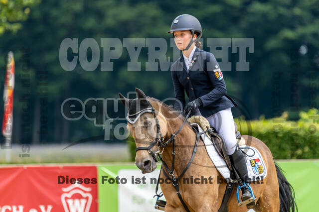 Goldene Schärpe 2021 - Ponys