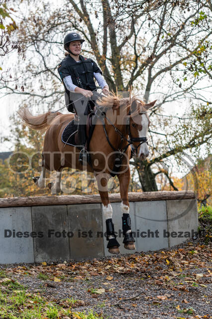 IGV Lehrgang der Sieger der Cups mit Frank Ostholt