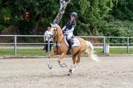 Late-Entry-Vielseitigkeit Langenfeld (11.+13./14.06.2020)