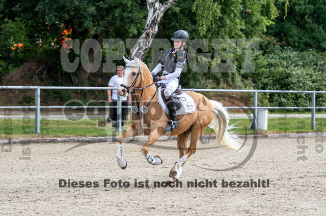 Late-Entry-Vielseitigkeit Langenfeld (11.+13./14.06.2020)