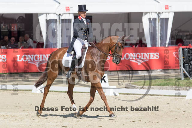 FEI European Championship Eventing 2017