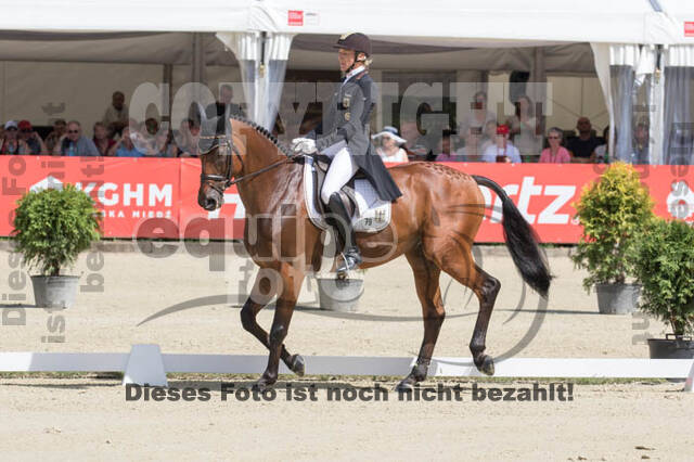 FEI European Championship Eventing 2017