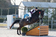 Eventing Langenfeld 2018