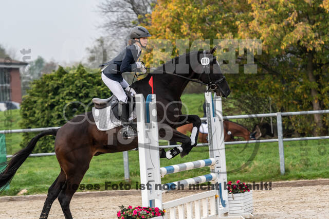 Goldene Schärpe 2020 - Pferde