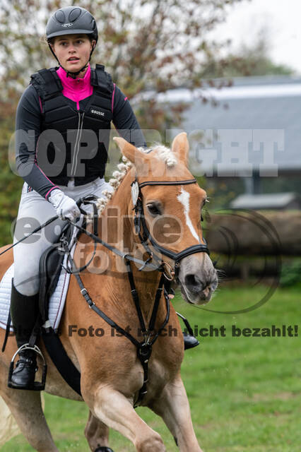 Goldene Schärpe 2020 - Pferde