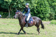 Goldene Schärpe 2021 - Ponys