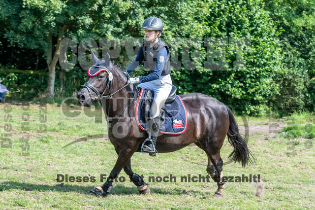 Goldene Schärpe 2021 - Ponys