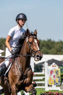 Kronenberg - De Peelbergen (August 2020)