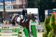 Goldene Schärpe 2021 - Ponys