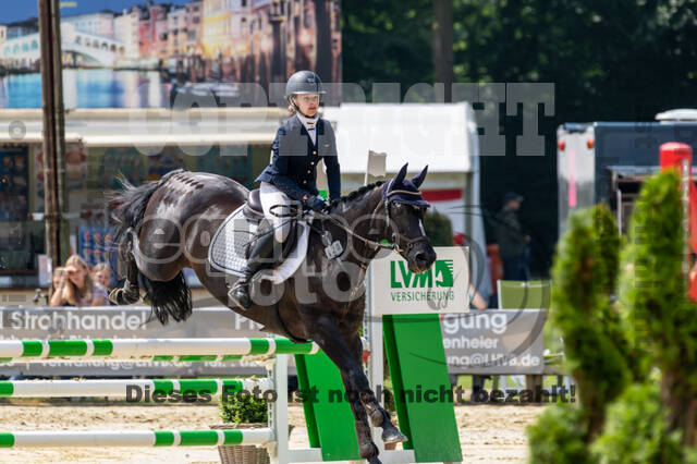 Goldene Schärpe 2021 - Ponys