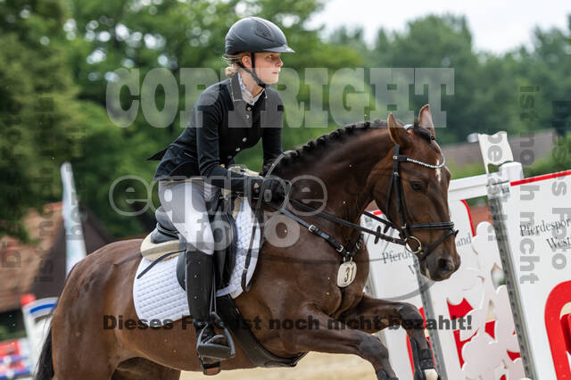 Goldene Schärpe 2021 - Ponys