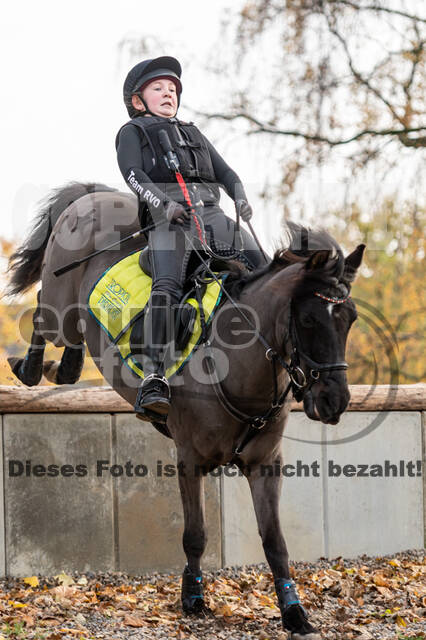 IGV Lehrgang der Sieger der Cups mit Frank Ostholt