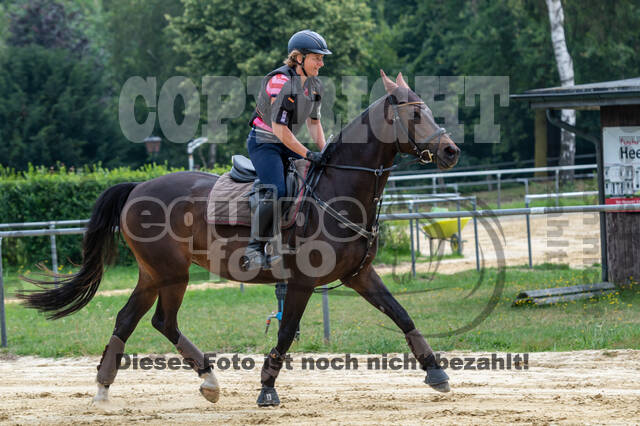 Hunter Geländetraining 10.07.2021 (Sonsbeck)