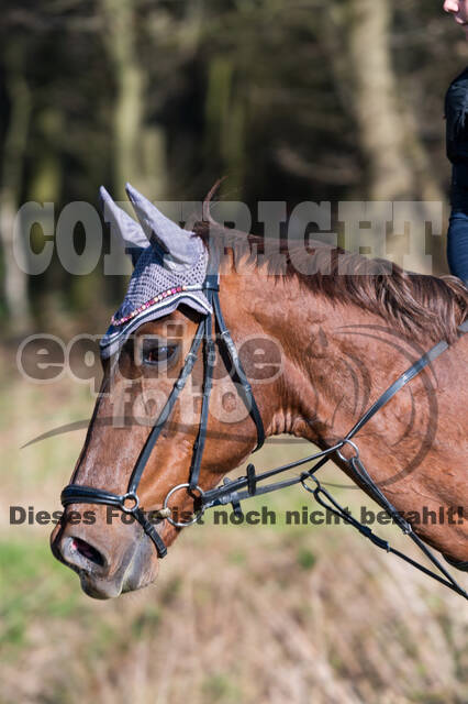 Geländetage beim RSV St. Hubertus Wesel Obrighoven (26.+27.03.2022)