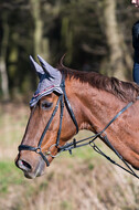 Geländetage beim RSV St. Hubertus Wesel Obrighoven (26.+27.03.2022)