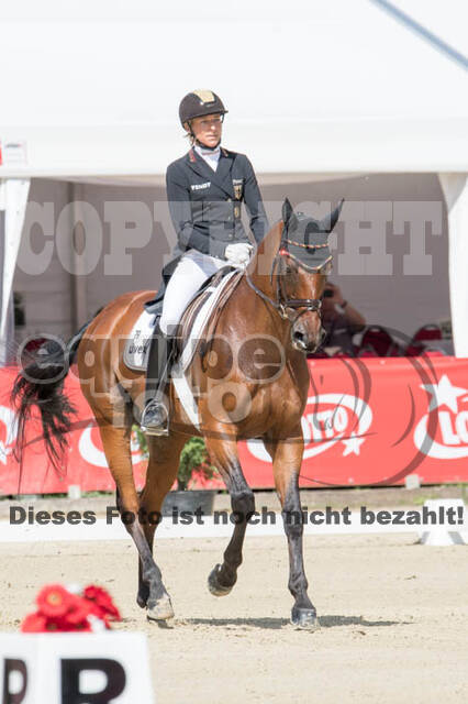 FEI European Championship Eventing 2017