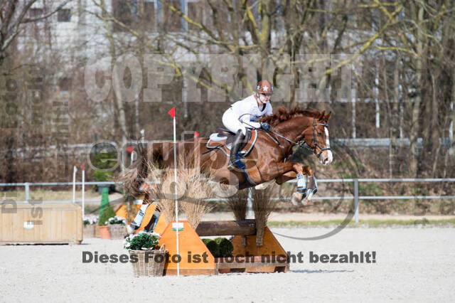 Eventing Langenfeld 2018