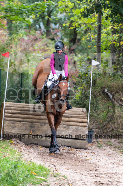 Goldene Schärpe 2020 - Pferde