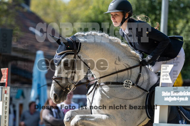 RFV Dinslaken-Hiesfeld (Herbstturnier)