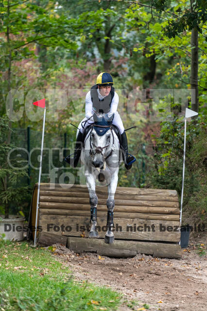 Goldene Schärpe 2020 - Pferde