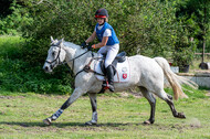 Goldene Schärpe 2021 - Ponys