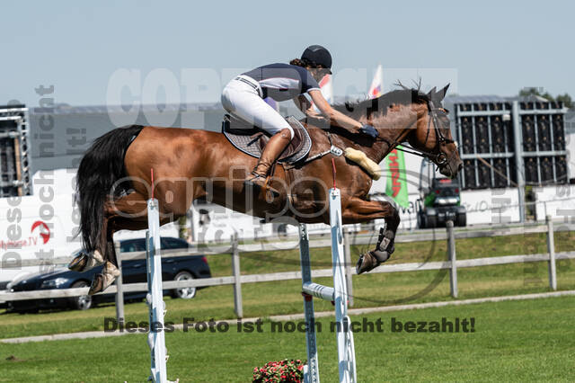 Kronenberg - De Peelbergen (August 2020)