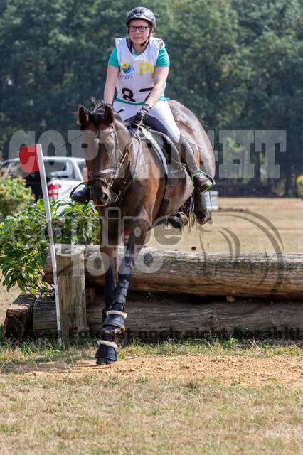 Late-Entry Vielseitigkeit Hamminkeln/Wesel (01.+02.08.2020)