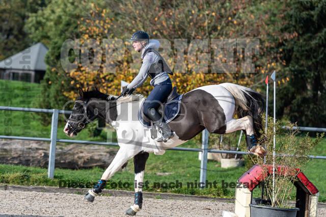 IGV Lehrgang der Sieger der Cups mit Frank Ostholt