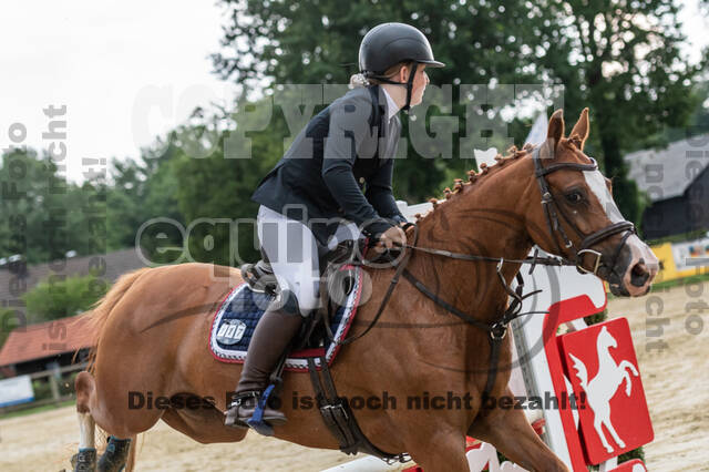 Goldene Schärpe 2021 - Ponys