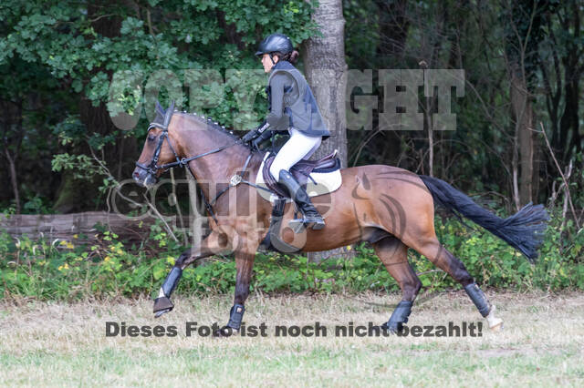 Late-Entry Vielseitigkeit Hamminkeln/Wesel (01.+02.08.2020)