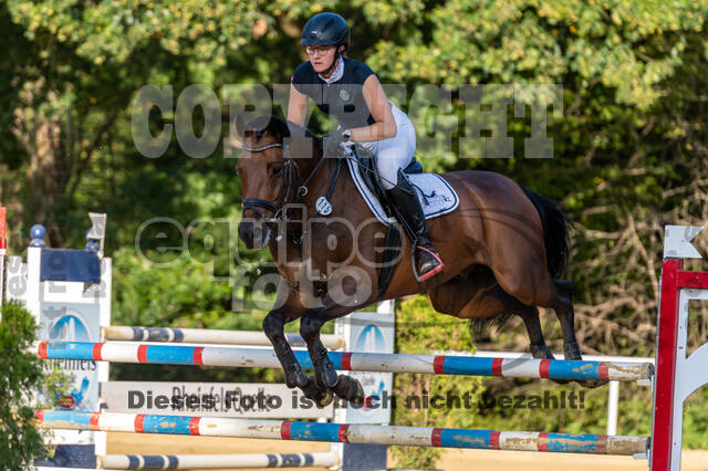 RFV Dinslaken-Hiesfeld (Herbstturnier)