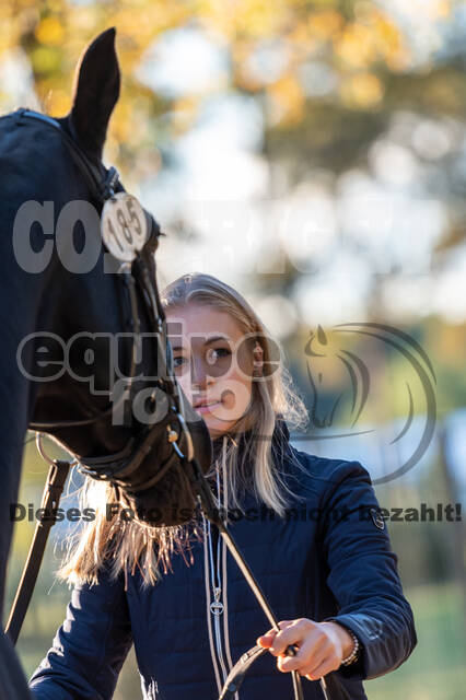 Deutsche Meisterschaft Vielseitigkeit (Luhmühlen)