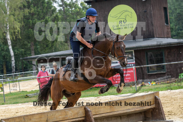 Hunter Geländetraining 10.07.2021 (Sonsbeck)