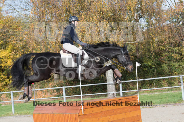 IGV Lehrgang der Sieger der Cups mit Frank Ostholt