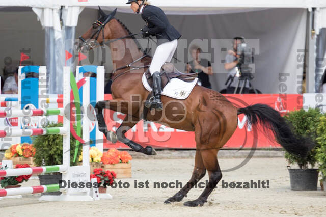 FEI European Championship Eventing 2017