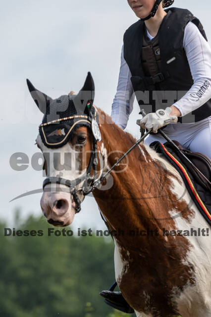 Goldene Schärpe 2021 - Ponys