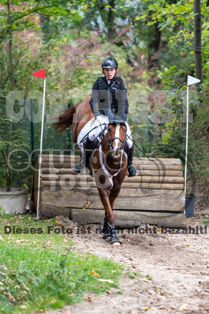 Goldene Schärpe 2020 - Pferde