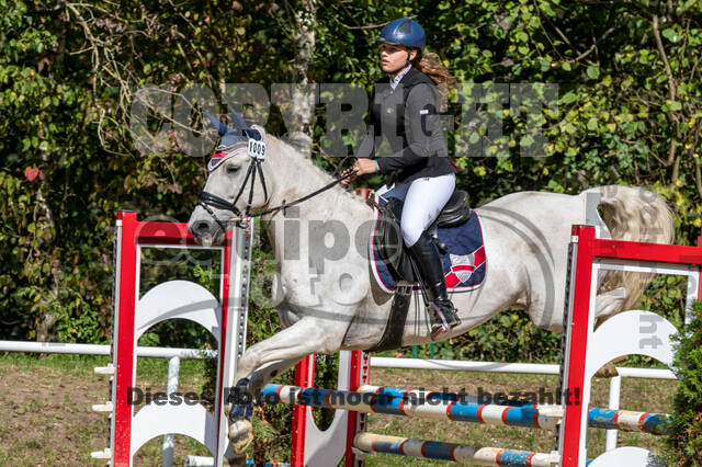 RFV Dinslaken-Hiesfeld (Herbstturnier)