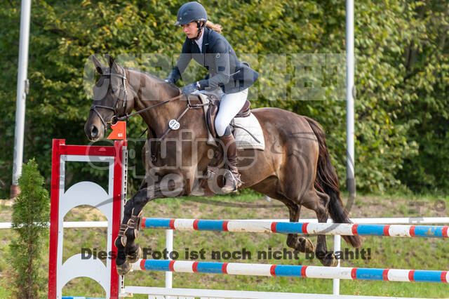RFV Dinslaken-Hiesfeld (Herbstturnier)
