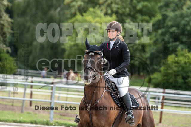 Late-Entry-Vielseitigkeit Langenfeld (06.+07.07.2020)