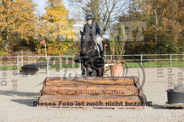 IGV Lehrgang der Sieger der Cups mit Frank Ostholt