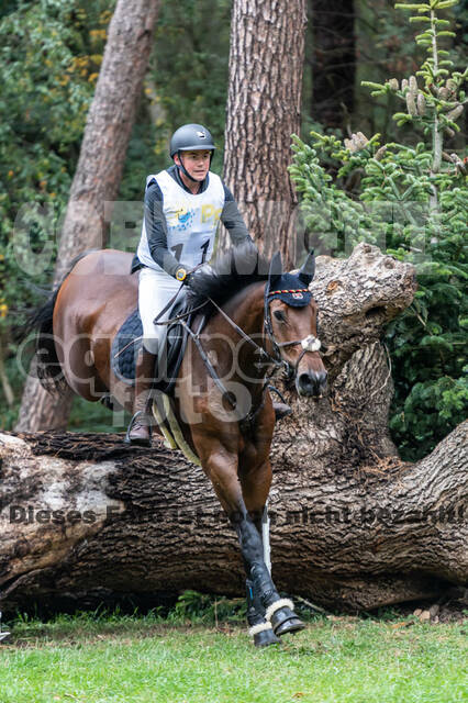 Vielseitigkeit RSV Wesel Obrighoven (26.+27.09.2020)