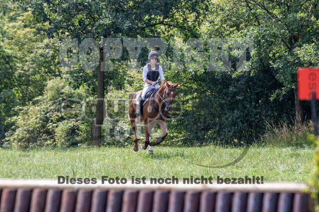 Late-Entry-Vielseitigkeit Gahlen (18.07.2020)