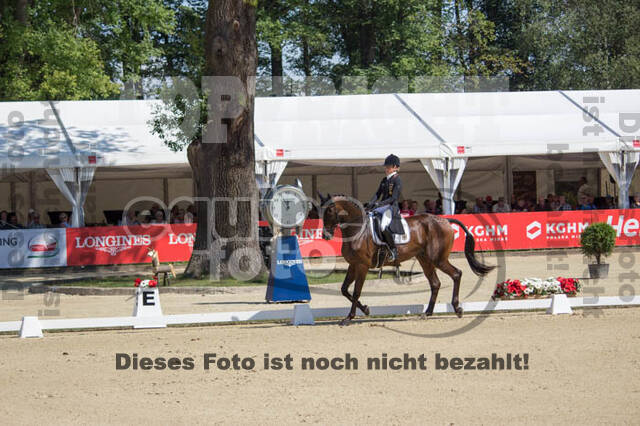 FEI European Championship Eventing 2017