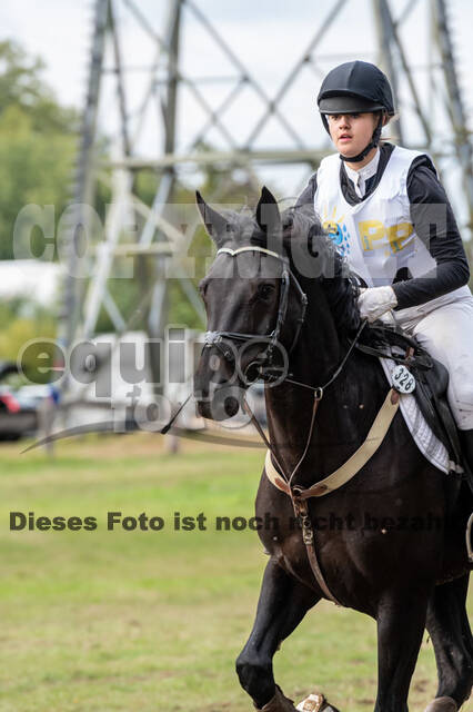 Vielseitigkeit RSV Wesel Obrighoven (26.+27.09.2020)