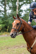 De Peelbergen (August 2020)