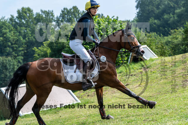 Goldene Schärpe 2021 - Ponys